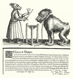 Invitation to an exhibition of apes and monkeys (engraving) by German School
