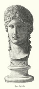 Juno Ludovisi, ancient Roman colossal marble head depicting Antonina Minor, daughter of Mark Antony and Octavia Minor, as the goddess Juno by German School
