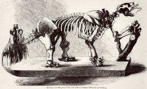 Megatherium Skeleton at the British Museum by German School