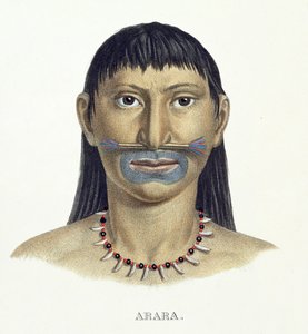 Native Man of the Arara Tribe with Blue Face Paint, from Atlas of a Journey in Brazil by Johann Baptist von Spix and Karl Friedrich Philipp Martius, published c.1835-50