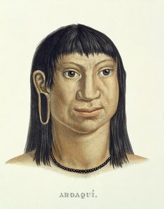 Native Man of the Aroaqui Tribe, from Atlas of a Journey in Brazil by Johann Baptist von Spix and Karl Friedrich Philipp Martius, published c.1835-50 by German School
