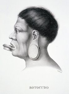 Native man of the Botocudo tribe, with plug face decoration, from Atlas of a Journey in Brazil by Dr von Spix and Dr von Martius by German School