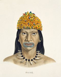 Native Man of the Mauhe Tribe, with Headdress of Small Blue and Orange Feathers, from Atlas of a Journey in Brazil by Johann Baptist von Spix and Karl Friedrich Philipp Martius by German School