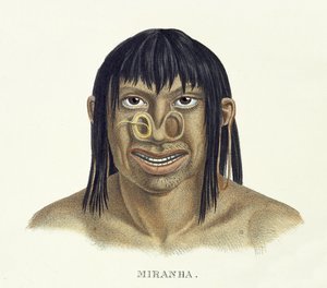 Native Man of the Miranha Tribe, with Nose Decoration, from Atlas of a Journey in Brazil by Johann Baptist von Spix and Karl Friedrich Philipp Martius, published c.1835-50 by German School