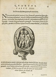 Non-Identical Twins in the Womb, Illustration from Chapter 14, Book 4 of On the Conception and Growth of Man by Rueff, 1587 by German School