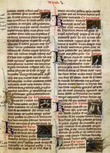 Page from De Natura Rerum on birds by German School