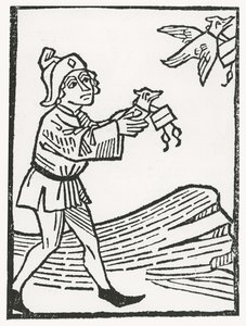 Pigeon Post