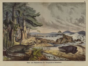 Plants and animals of the Triassic Period in Germany by German School