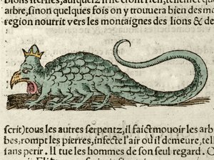 Representation of the mythological monster Basilisk. Xilography taken from the Universal Cosmography of Sebastien Munster, Bale