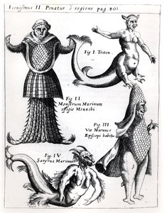 Sea monsters, illustration from Physica Curiosa by Gaspar Schott, published Wuerzburg 1662 by German School