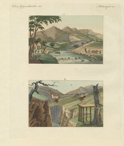 South American Rope Bridges by German School