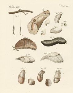 Strange worms
