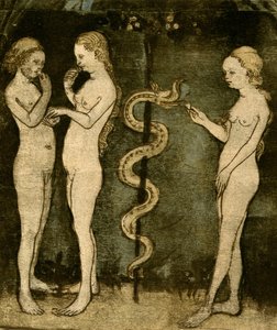 The Fall in Two Representations by German School