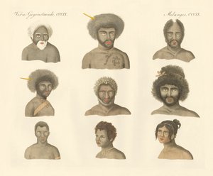 The Papuans
