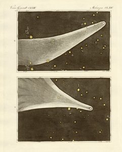 The Great Comet of the Year 1811 by German School