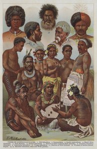 Types of Australian Races (colour litho) by German School