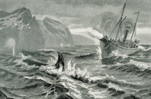Using a Harpoon Gun from a Fast Steamboat by German School