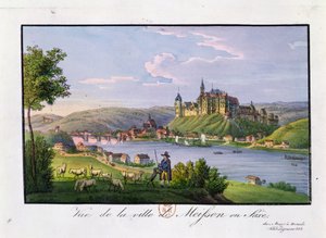 View of the town of Meissen, birthplace of Christian Samuel Hannemann