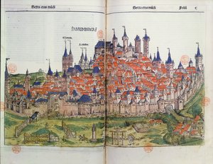 View of the town of Nuremberg, from the Nuremberg Chronicle by Hartmann Schedel, 1493 by German School
