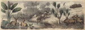 Watering Hole in South Africa by German School