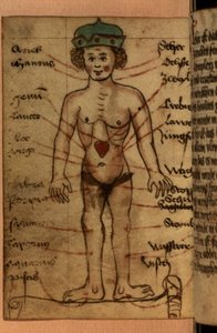 Zodiac diagram showing the position of the heart