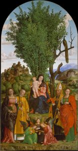 Madonna and Child with Saints by Gerolamo dai Libri