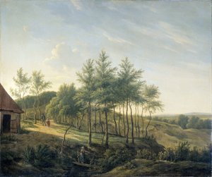 Hilly Landscape