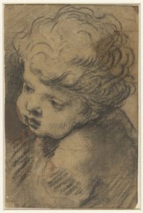 Head of a Putto
