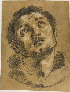 Head of Saint Stephen: Study for the Martyrdom of Saint Stephen by Giacomo Cavedone