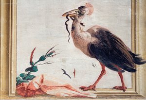 A Cassowary Holding a Snake in Its Beak, from the Chinese Room in the Foresteria
