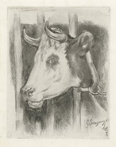 Head of a Cow by Gijsbertus Craeyvanger