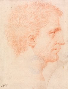 Head of a Man with Stubble Beard, Facing Right by Giles Hussey