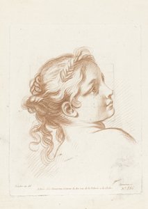 Bust of a Young Woman