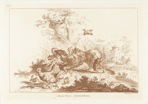 Fox Attacking a Rooster and Hen Fleeing with Chicks