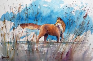 Alert Fox in Reeds by Giorgio Gosti