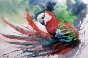Colorful Jungle Macaw by Giorgio Gosti
