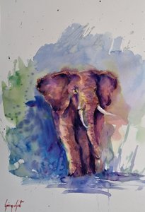 Majestic Watercolor Elephant