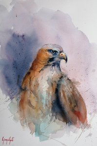 Majestic Watercolor Hawk