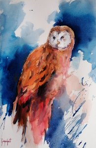 Majestic Watercolor Owl by Giorgio Gosti