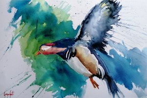 Mandarin Duck in Flight by Giorgio Gosti