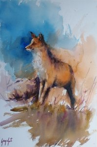 Serene Wild Fox by Giorgio Gosti