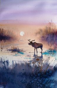 Twilight Moose Reflection by Giorgio Gosti