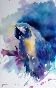 Vibrant Blue Macaw