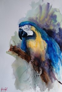 Vibrant Macaw Portrait by Giorgio Gosti