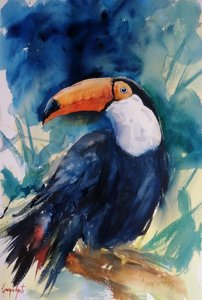Vibrant Tropical Toucan by Giorgio Gosti