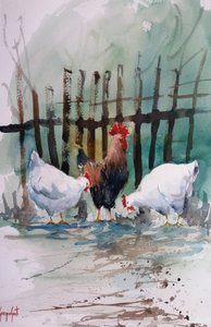 Watercolor Farm Chickens by Giorgio Gosti