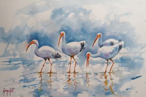 White Ibis Reflections by Giorgio Gosti