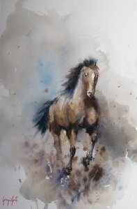 Wild Horse Gallop