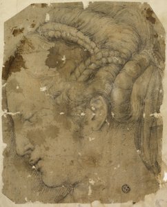 Female Head in Profile to Left by Giorgio Vasari