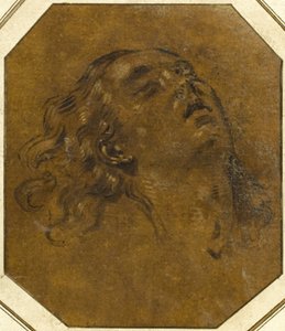 Female Head by Giovan Gioseffo dal Sole